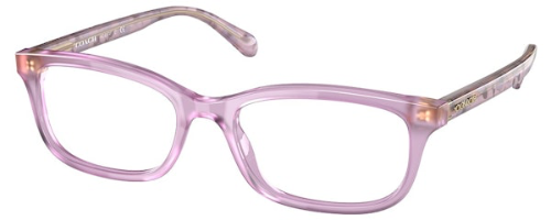 COACH HC6174F - 5696 Milky Purple